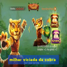 milhar viciada da cobra